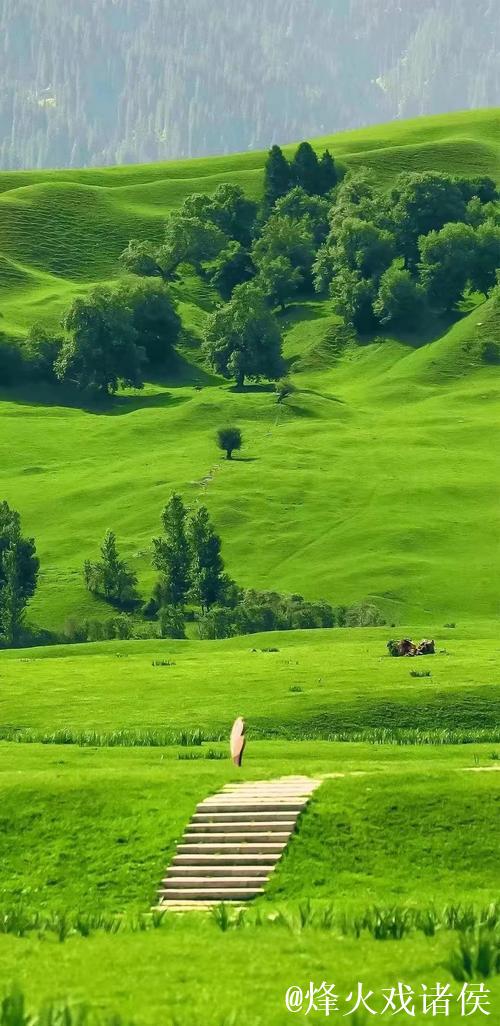 探索青青草原AV的独特魅力与风景 探索青青草原AV的独特魅力与风景
